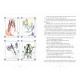 Прозоре Таро (2-е Видання) - The Transparent Tarot (2nd Edition). Schiffer Publishing