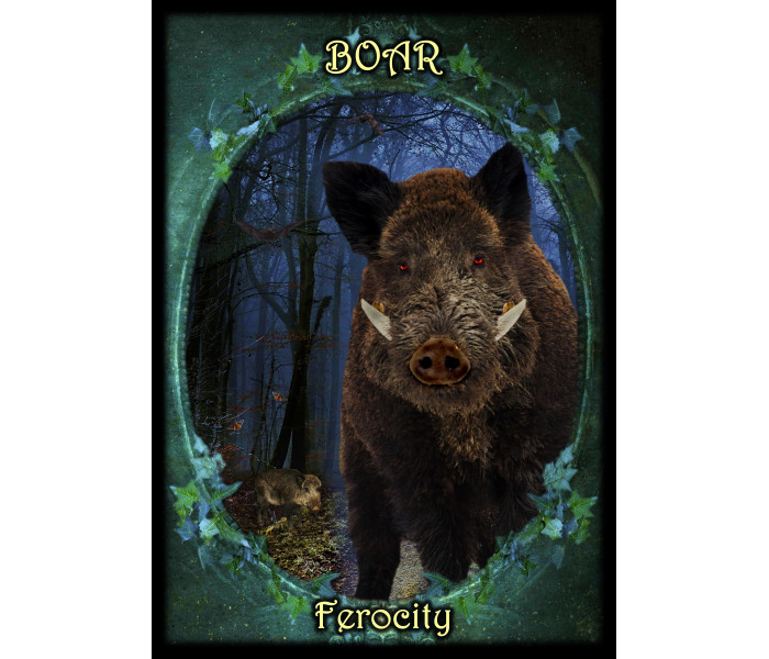 Оракул Фамильяров Ведьм - Witches Familiars Oracle Cards. Solarus 