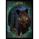 Оракул Фамильяров Ведьм - Witches Familiars Oracle Cards. Solarus 