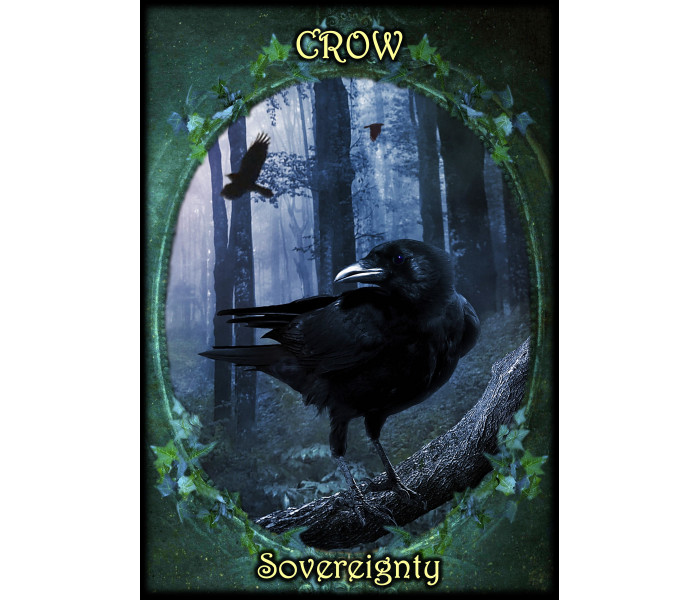 Оракул Фамильяров Ведьм - Witches Familiars Oracle Cards. Solarus 