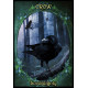 Оракул Фамильяров Ведьм - Witches Familiars Oracle Cards. Solarus 