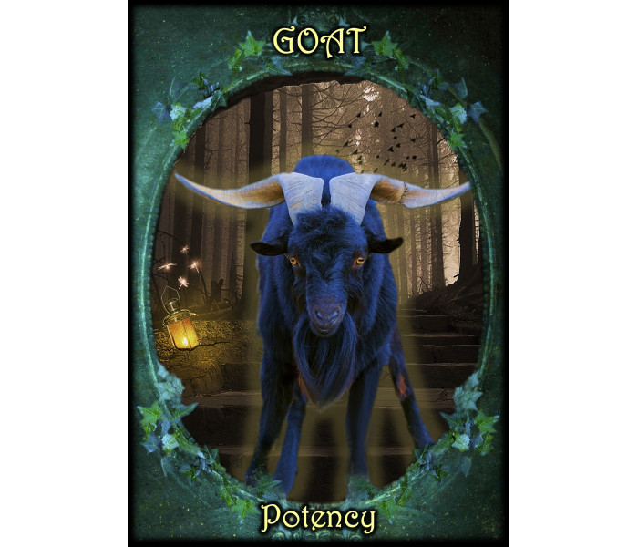 Оракул Фамильяров Ведьм - Witches Familiars Oracle Cards. Solarus 