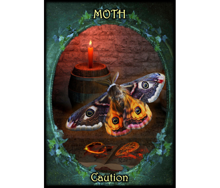 Оракул Фамильяров Ведьм - Witches Familiars Oracle Cards. Solarus 