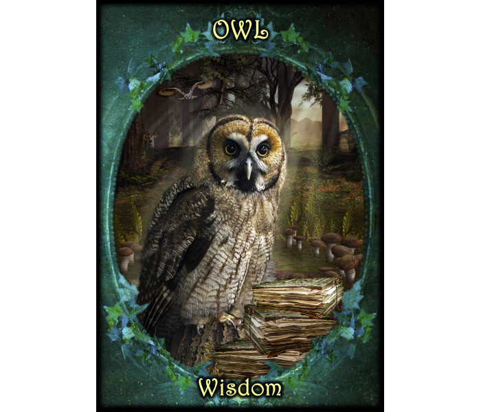 Оракул Фамильяров Ведьм - Witches Familiars Oracle Cards. Solarus 