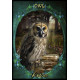 Оракул Фамильяров Ведьм - Witches Familiars Oracle Cards. Solarus 