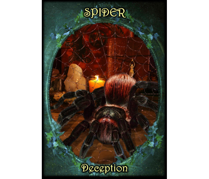 Оракул Фамильяров Ведьм - Witches Familiars Oracle Cards. Solarus 