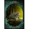 Фото 10 - Оракул Фамільярів Відьом - Witches Familiars Oracle Cards. Solarus