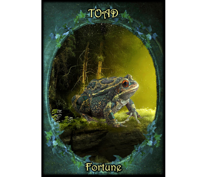 Оракул Фамильяров Ведьм - Witches Familiars Oracle Cards. Solarus 