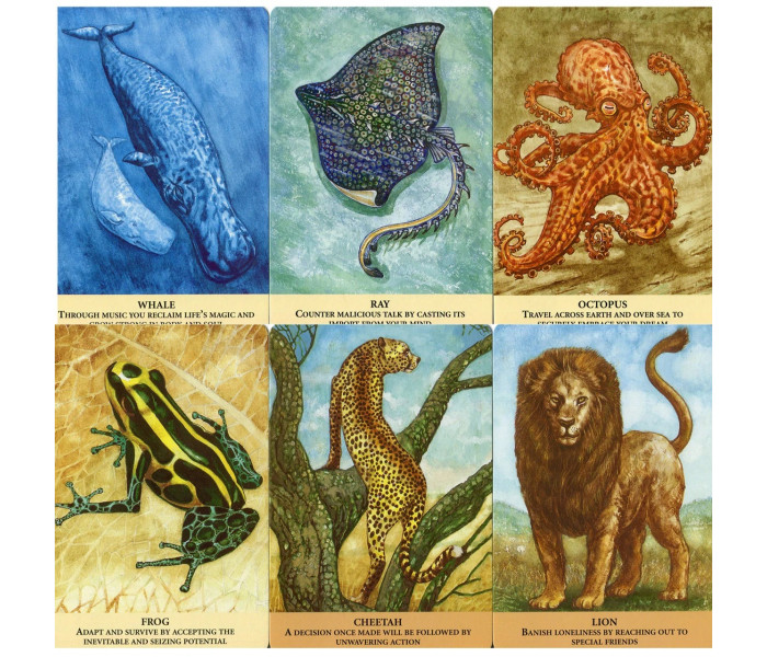 Оракул Послання Тварин - Animal Messages. CICO Books