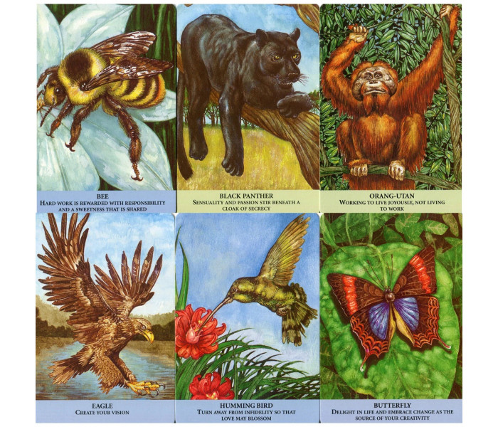 Оракул Послання Тварин - Animal Messages. CICO Books