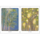Оракул Ангел Дерева - The Tree Angel Oracle Deck. Earthdancer Books