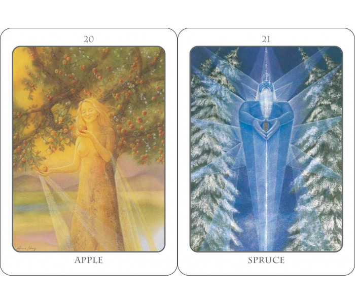 Оракул Ангел Дерева - The Tree Angel Oracle Deck. Earthdancer Books