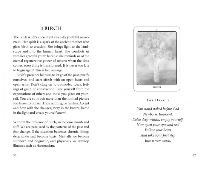Оракул Ангел Дерева - The Tree Angel Oracle Deck. Earthdancer Books
