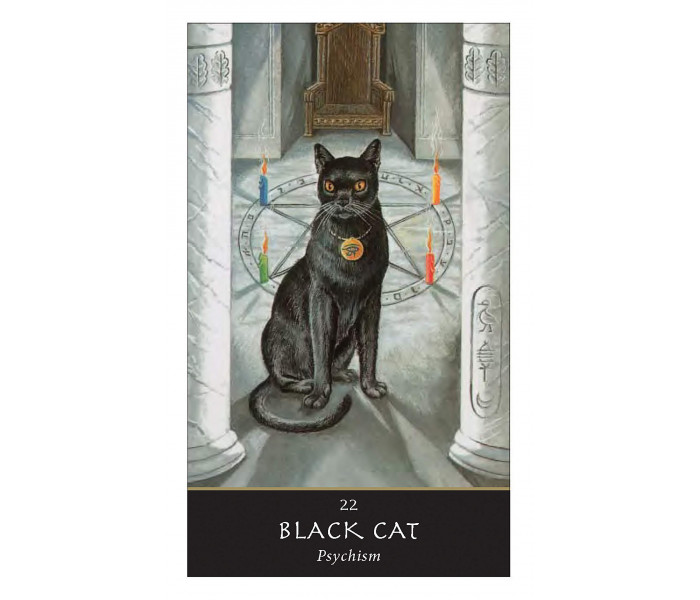 Оракул Відьом (книга + карти) - The Witches Oracle: (Book & Cards). Eddison Books