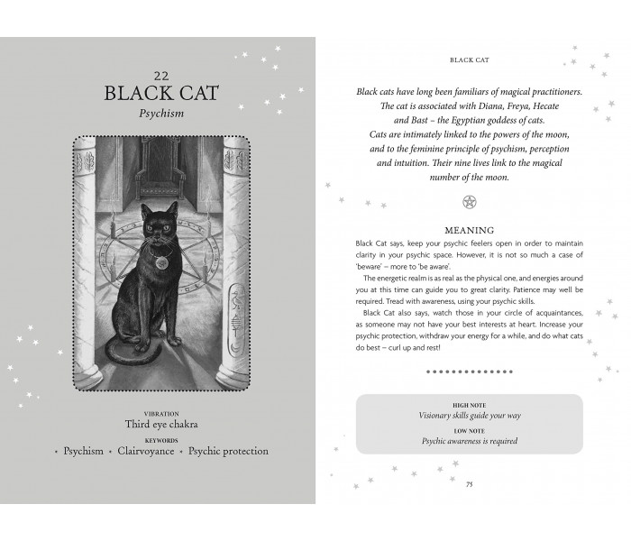 Оракул Відьом (книга + карти) - The Witches Oracle: (Book & Cards). Eddison Books