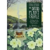 Фото 1 - Оракул Рослин Друїдів Перевидання - Druid Plant Oracle Reissue. Welbeck Publishing