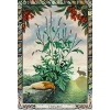 Фото 5 - Оракул Рослин Друїдів Перевидання - Druid Plant Oracle Reissue. Welbeck Publishing