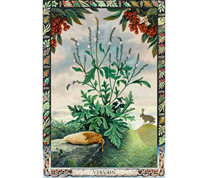 Оракул Растений Друидов  Переиздание - Druid Plant Oracle Reissue. Welbeck Publishing