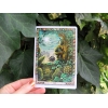 Фото 6 - Оракул Рослин Друїдів Перевидання - Druid Plant Oracle Reissue. Welbeck Publishing
