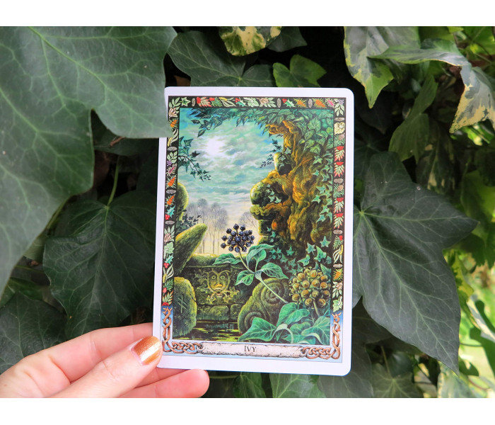 Оракул Растений Друидов  Переиздание - Druid Plant Oracle Reissue. Welbeck Publishing