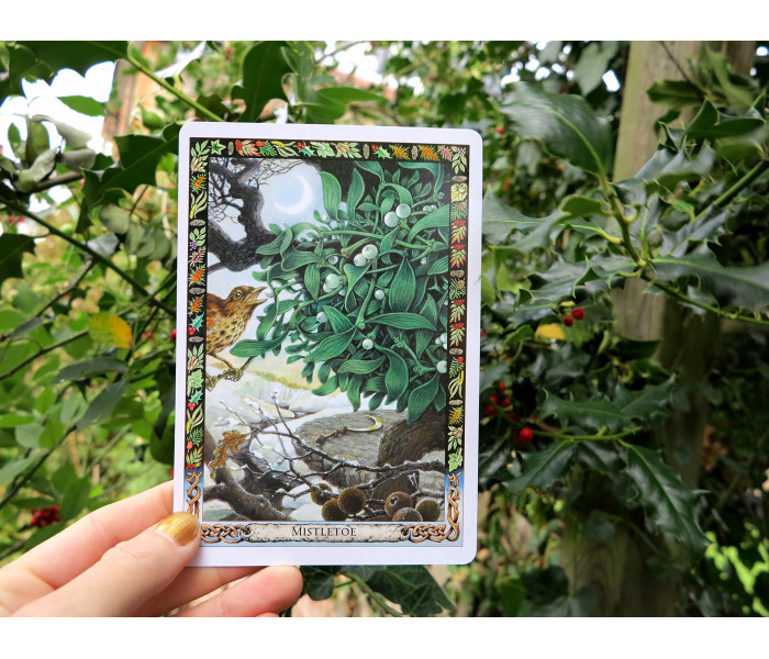 Оракул Растений Друидов  Переиздание - Druid Plant Oracle Reissue. Welbeck Publishing