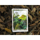 Оракул Растений Друидов  Переиздание - Druid Plant Oracle Reissue. Welbeck Publishing