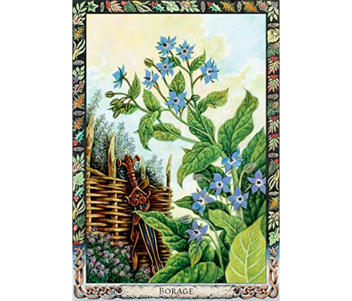 Оракул Растений Друидов  Переиздание - Druid Plant Oracle Reissue. Welbeck Publishing