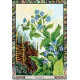 Оракул Растений Друидов  Переиздание - Druid Plant Oracle Reissue. Welbeck Publishing