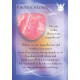 Карты Ангелов и Хранителей драгоценных камней - The Angels and Gemstone Guardians Cards. Findhorn Press