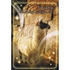 Фото 3 - Карти Наділення Силою Шепіт Тварин - Animal Whispers Empowerment Cards. Findhorn Press
