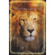 Карти Наділення Силою Шепіт Тварин - Animal Whispers Empowerment Cards. Findhorn Press