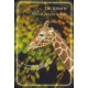 Карти Наділення Силою Шепіт Тварин - Animal Whispers Empowerment Cards. Findhorn Press