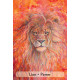 Оракул Зачарованных Животных - Enchanted Animal Oracle Cards. Animal Dreaming