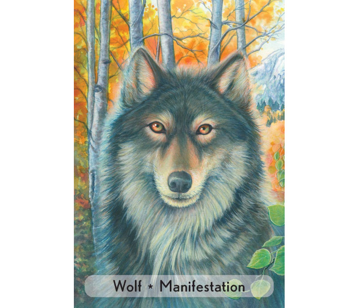 Оракул Зачарованных Животных - Enchanted Animal Oracle Cards. Animal Dreaming