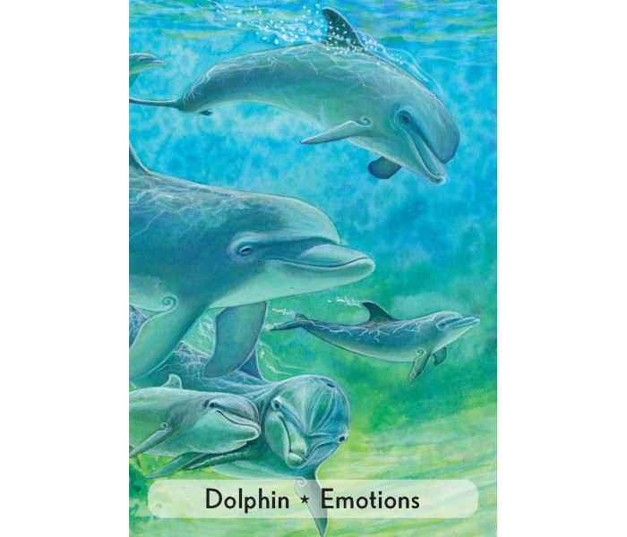 Оракул Зачарованных Животных - Enchanted Animal Oracle Cards. Animal Dreaming
