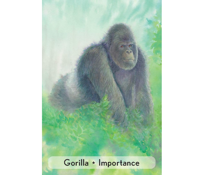 Оракул Зачарованных Животных - Enchanted Animal Oracle Cards. Animal Dreaming