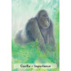 Оракул Зачарованных Животных - Enchanted Animal Oracle Cards. Animal Dreaming