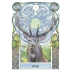 Фото 4 - Кельтський астрологічний оракул - Celtic Astrology Oracle. Lo Scarabeo