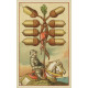 Средневековые гадальные карты - Medieval Fortune Telling Cards. Lo Scarabeo