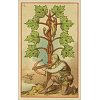 Фото 6 - Середньовічні гадальні карти - Medieval Fortune Telling Cards. Lo Scarabeo