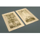 Таро Королевских Теней - Regal Shadows Tarot. Dark Synevyr