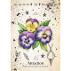 Оракул Зеленой Ведьмы - Green Witch Oracle. Rockpool Publishing