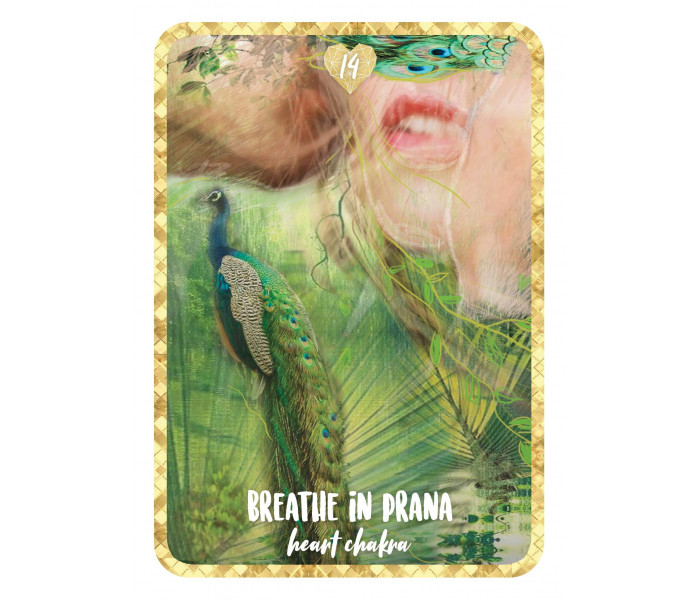 Оракул любові до себе - Self Love Oracle. Rockpool Publishing