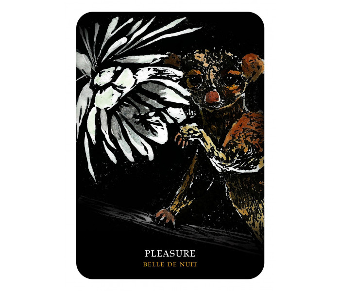 Оракул Квіти Ночі - Flowers of the Night Oracle. Rockpool Publishing