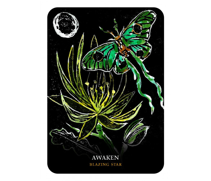 Оракул Квіти Ночі - Flowers of the Night Oracle. Rockpool Publishing