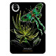 Оракул Квіти Ночі - Flowers of the Night Oracle. Rockpool Publishing