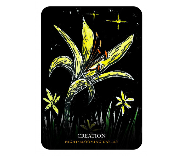 Оракул Квіти Ночі - Flowers of the Night Oracle. Rockpool Publishing