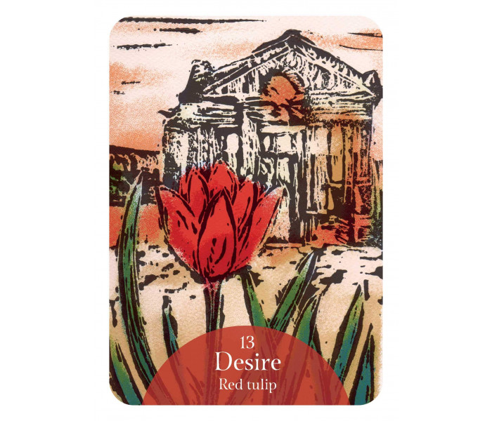 Оракул Язык Цветов - The Language of Flowers Oracle. Rockpool Publishing