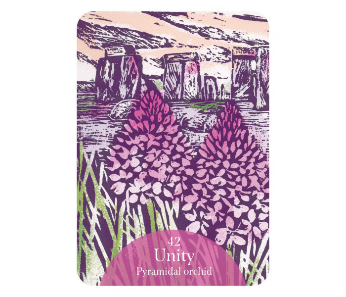 Оракул Язык Цветов - The Language of Flowers Oracle. Rockpool Publishing