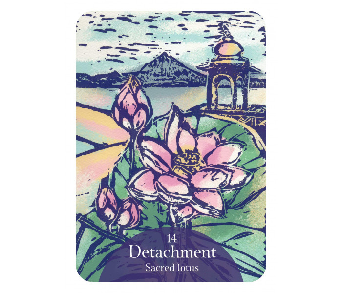 Оракул Язык Цветов - The Language of Flowers Oracle. Rockpool Publishing